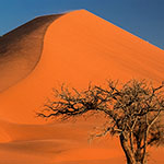 Namib - Düne 42
