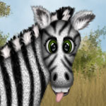 Zebra Edi