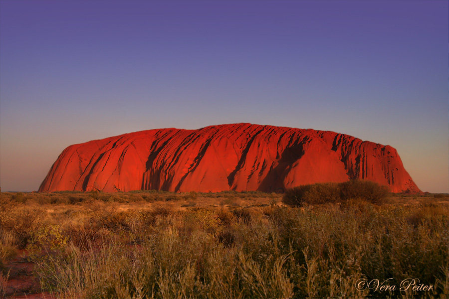 Ayers Rock oder Uluru at sunset