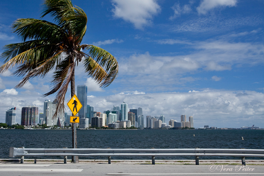 Miami - Skyline