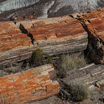 Petrified Forest - Arizona